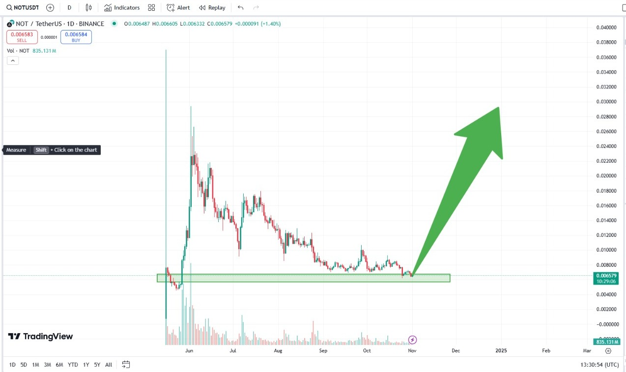 NOT Coin：现在入手，未来不后悔！